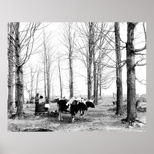 1904 Ahornzucker-Lager Vermont-Poster Poster (Vorne)