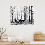 1904 Ahornzucker-Lager Vermont-Poster Poster (Küche)