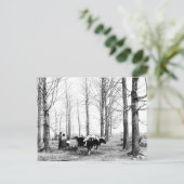 1904 Ahornzuckerlager Vermont Postkarte (Stehend Vorderseite)