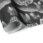1904 Haeckel Chiroptera Geschenkpapier (Rolleneckpunkt)