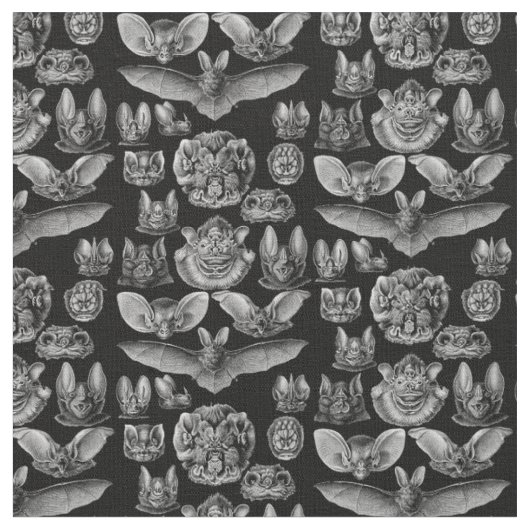 1904 Haeckel Chiroptera Stoff (Nahaufnahme)