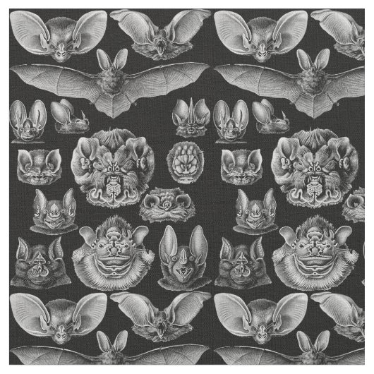 1904 Haeckel Chiroptera Stoff (Nahaufnahme)