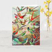 1904 Kolibris drucken Karte (Gelbe Blume)