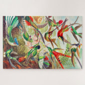 1904 Kolibris drucken Puzzle (Horizontal)