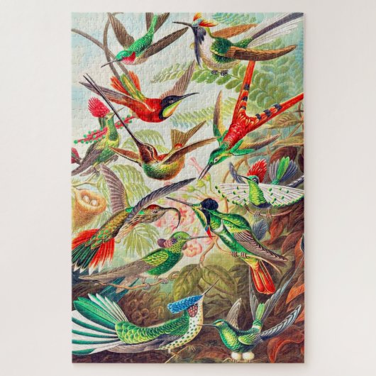 1904 Kolibris drucken Puzzle (Vertikal)