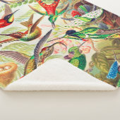 1904 Kolibris drucken Sherpadecke (3/4)