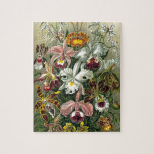 1904 Orchideen-Kunstformen Natur-Druck Puzzle