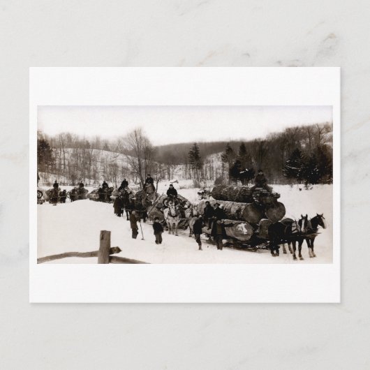 1905 Holzfäller bei der Arbeit Postkarte (Vorderseite)