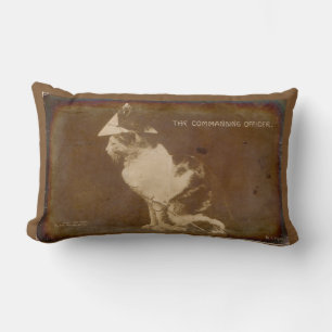 1906 Der Kommandeur verkleidete Katze RPPC Lendenkissen