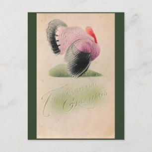 1907 Antikes Erntedankfest Rosa und Grau Truthahn Postkarte