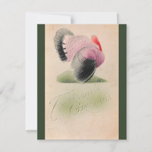 1907 Vintage Thanksgiving Pink und Grau Truthahn Karte