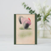 1907 Vintager Erntedank Rosa und Grau Türkei Postkarte (Stehend Vorderseite)