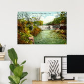 1908 Bronx River Falls, Bronx Park, New York City Poster (Heimbüro)