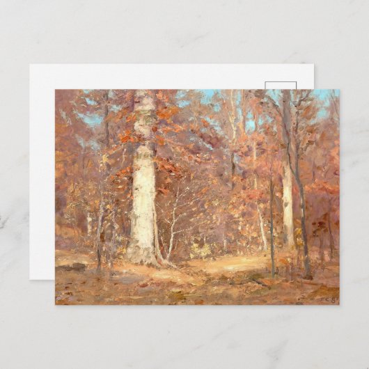 1909 Landschaft von T. C. Steele Postcard Postkarte (Vorne/Hinten)