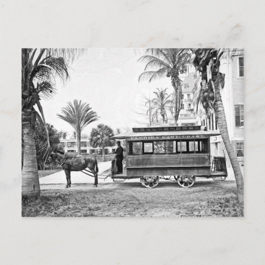 1909 Palm Beach Florida Trolley Postcard Postkarte (Vorderseite)