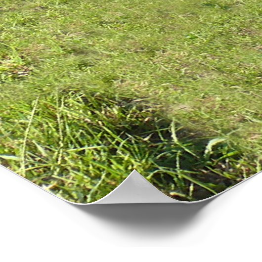 1910 Fox Creek Stone Arch Bridge Poster (Ecke)