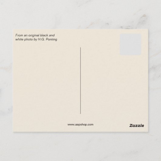 1910 Scott Expedition zum Terra Nova South Pole Postkarte (Rückseite)