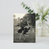 1910 Straußenreiten Postkarte (Stehend Vorderseite)
