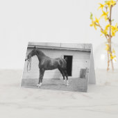 1911 Pferd anzeigen Karte (Gelbe Blume)