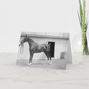 1911 Show-Pferd Karte