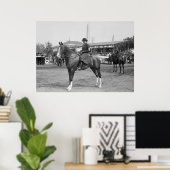 1914 Foto der Pferdeausstellung Poster (Heimbüro)