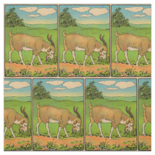 1914 Grazing billygoat Illustration Stoff