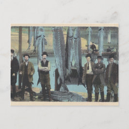 1914 Sturgeon Postcard - Sturgeon Catch Postkarte