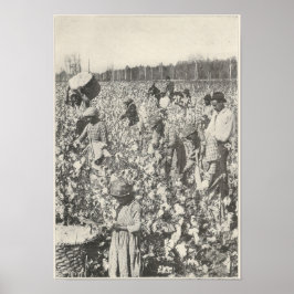 1916 Baumwolle pflücken Poster