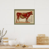 1917 Vintage Kuhmuskelanatomie Poster (Küche)