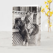 1920 Patriotischer Junge reitet Pony Karte (Gelbe Blume)