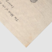 1921 NYC Fashion Design Artikel Seidenpapier (Ausschnitt)