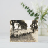 1921 POSTKARTE (Stehend Vorderseite)