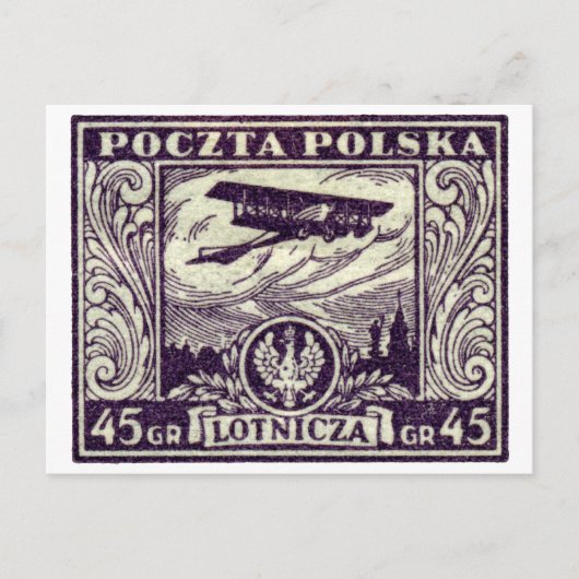 1925 45gr polnische Luftpost-Briefmarke Postkarte (Vorderseite)