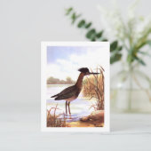 1926 unterzeichnete Vintage TODHUNTER-VÖGEL "GREEN Postkarte (Stehend Vorderseite)