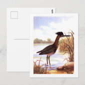 1926 unterzeichnete Vintage TODHUNTER-VÖGEL "GREEN Postkarte (Vorne/Hinten)