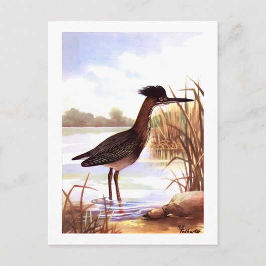 1926 unterzeichnete Vintage TODHUNTER-VÖGEL "GREEN Postkarte (Vorderseite)