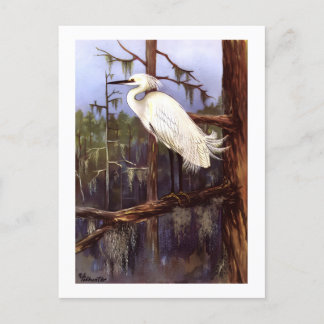 1926 Vintage TODHUNTER-VÖGEL "SNOWY EGRET"-Reprint Postkarte