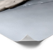 1928 CHARLES LINDBERGH POSTER (Ecke)