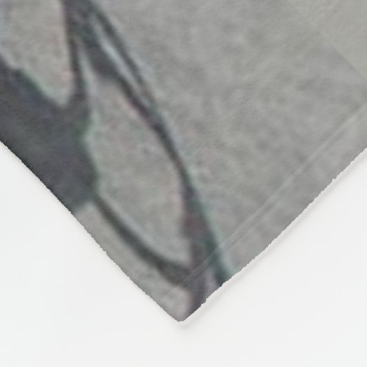 1929 Hudson Fleecedecke (Ecke)