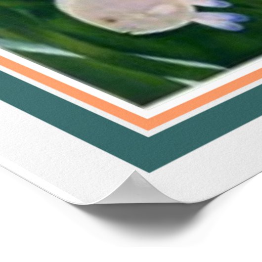 1930 Art Déco Swimmer/Resort Ad 16x20 Poster (Ecke)