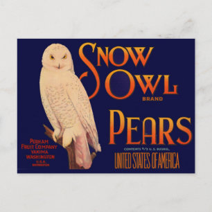 1930er Jahre Snow Owl Markenbirnen Obstkiste Etike Postkarte