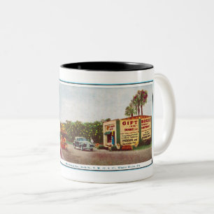 1930ER WINTER HAVEN FLORIDA FOTO POSTKARTE ZWEIFARBIGE TASSE