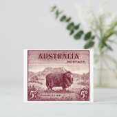 1934 Australian Merino Sheep Postkarte (Stehend Vorderseite)