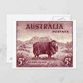 1934 Australian Merino Sheep Postkarte (Vorne/Hinten)