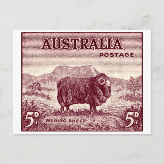 1934 Australian Merino Sheep Postkarte (Vorderseite)