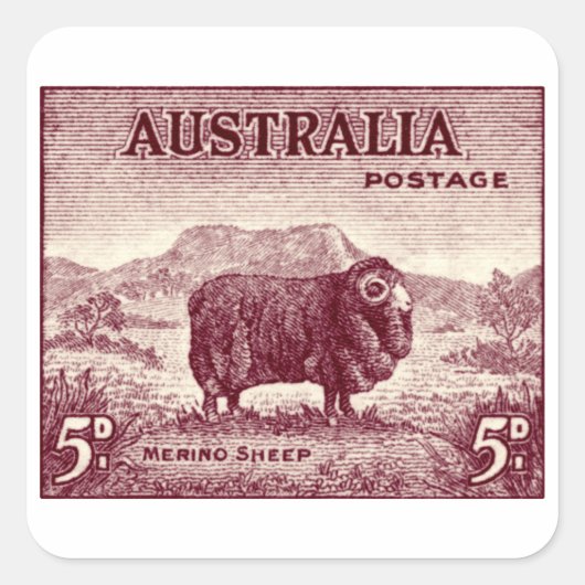1934 Australian Merino Sheep Quadratischer Aufkleber (Vorderseite)
