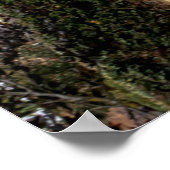 1934, Chevrolet Roadster Klassiker Poster (Ecke)