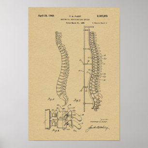 1940 Vintage anatomische Wirbelsäule - Patentschri Poster