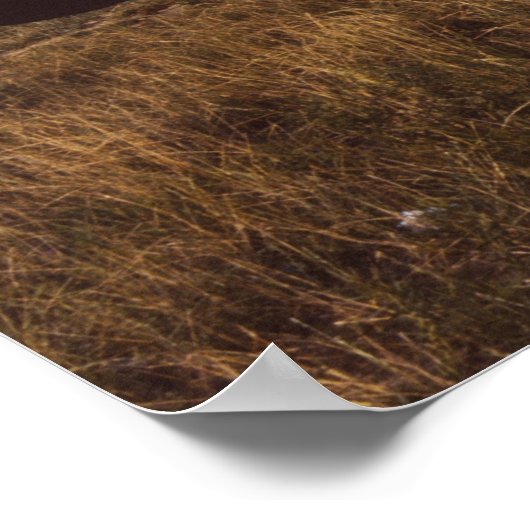 1940s Crop Duster Biplanes Poster (Ecke)