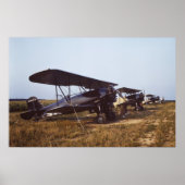 1940s Crop Duster Biplanes Poster (Vorne)